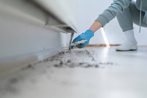 Bird Control in Milton, GA